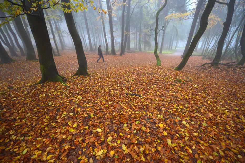 Fotografija: Fotografija je simbolična. FOTO: Arne Dedert Afp 