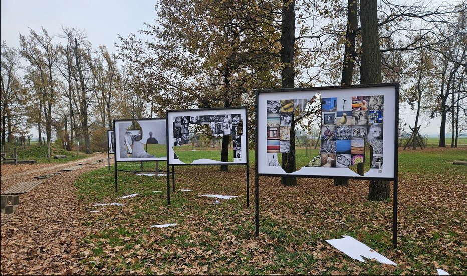 Fotografija: Še huje kot materialna škoda je klic avtorju, da je nekdo uničil njegovo razstavo. FOTOGRAFIJI: Občina Križevci