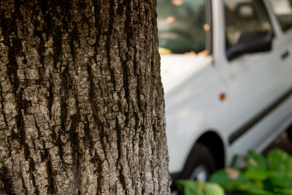 Fotografija: Fotografija je simbolična. FOTO: Madrolly Getty Images/istockphoto