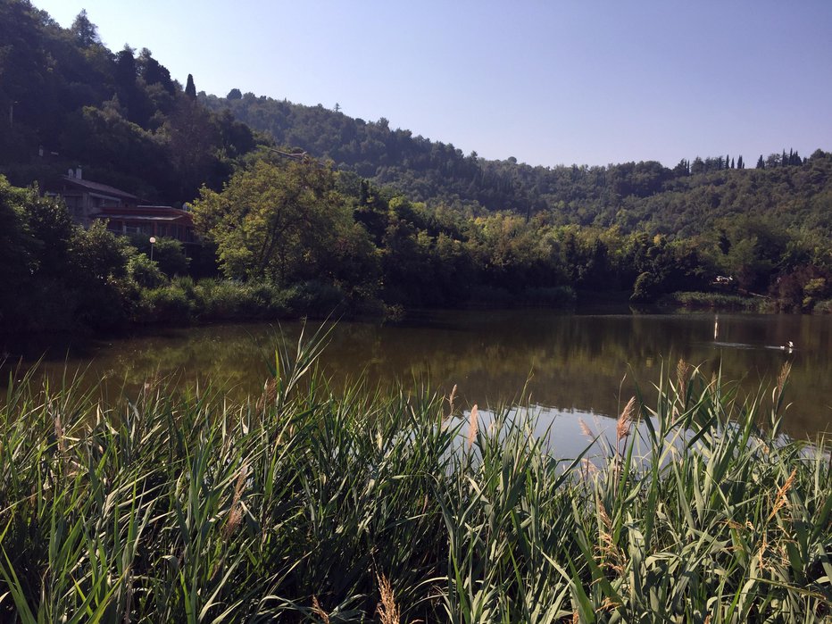 Fotografija: Po drugi svetovni vojni je glinokopa zalila voda.