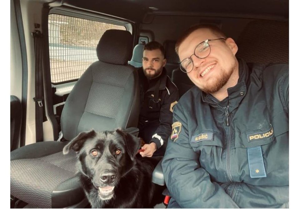 Fotografija: Premraženega kužka sta policista ogrela v svojem vozilu. FOTO: Pu Ljubljana