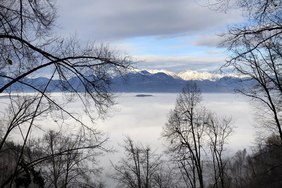 Fotografija: Foto: Jure Eržen, Delo