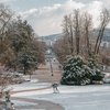 Ojoj, poglejte, kaj so trem mladoletnikom zasegli v parku Tivoli (FOTO)