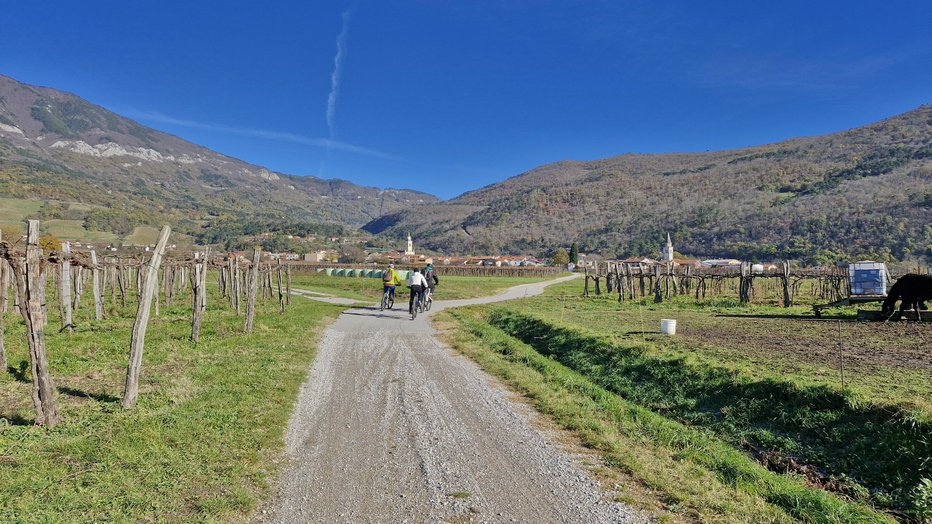 Fotografija: Tudi v poznem jesenskem času je bilo ob sončnih dneh povsem primerno za kolesarjenje. Foto: Mitja Felc