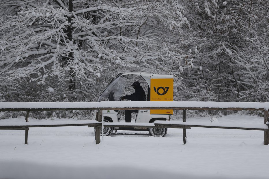 Fotografija: Meja sneženja se bo na Notranjskem in na jugovzhodu države spustila do nižin. FOTO: Leon Vidic