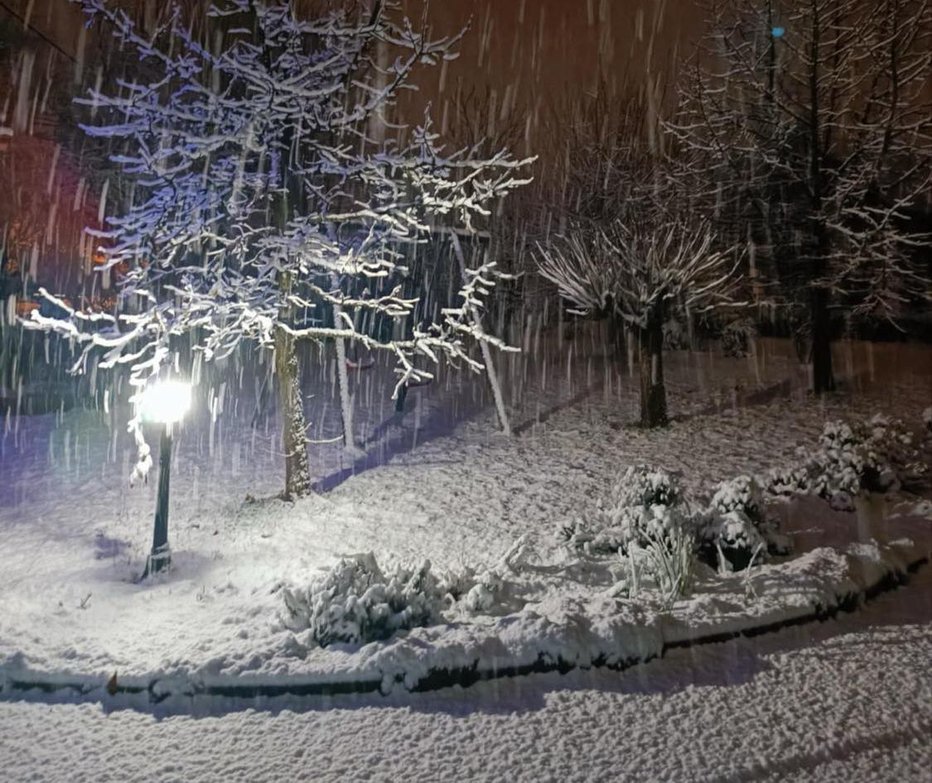 Fotografija: Bralec nam je poslal sliko iz Logatca, kjer je že vse pobelilo. FOTO: bralec Boris