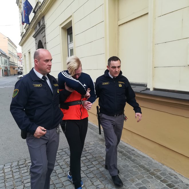 Ker se je Aleš Črepinko vulgarno obnašal, sta ga morala pravosodna policista