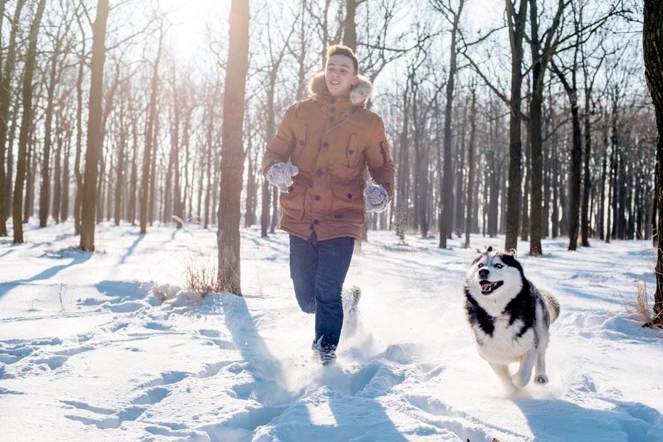 Fotografija: Poskrbimo za brezskrbno zimsko dogodivščino. Foto: Osadcha Olga/Shutterstock