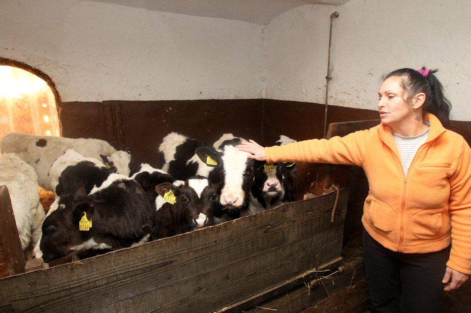 Fotografija: Alenka Benedik je bila priča žalostni zgodbi na kmetiji. FOTO: Marko Feist