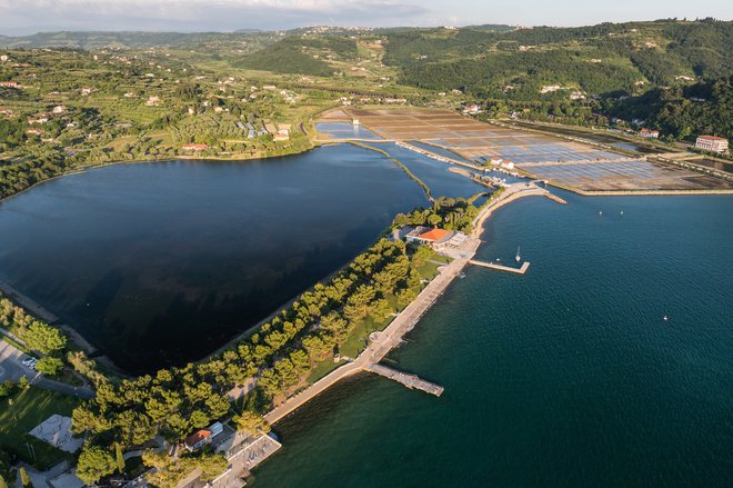 Levo laguna, desno soline, vmes pa Strunjanska reka