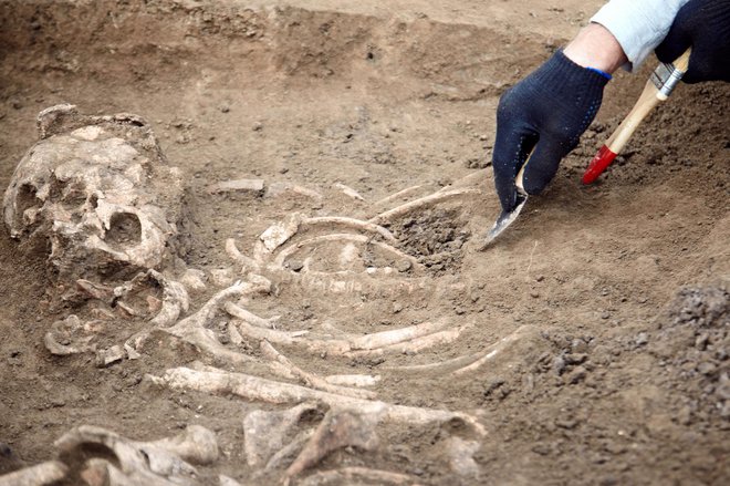 Znanstveniki so iz bolje ohranjenih okostij naredili 3D-model neandertalca. FOTO: Getty Images