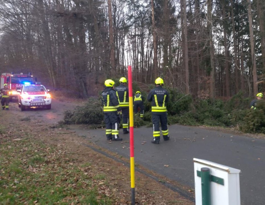 Fotografija: Veter ponekod že podira drevesa. FOTO: Občina Duplek