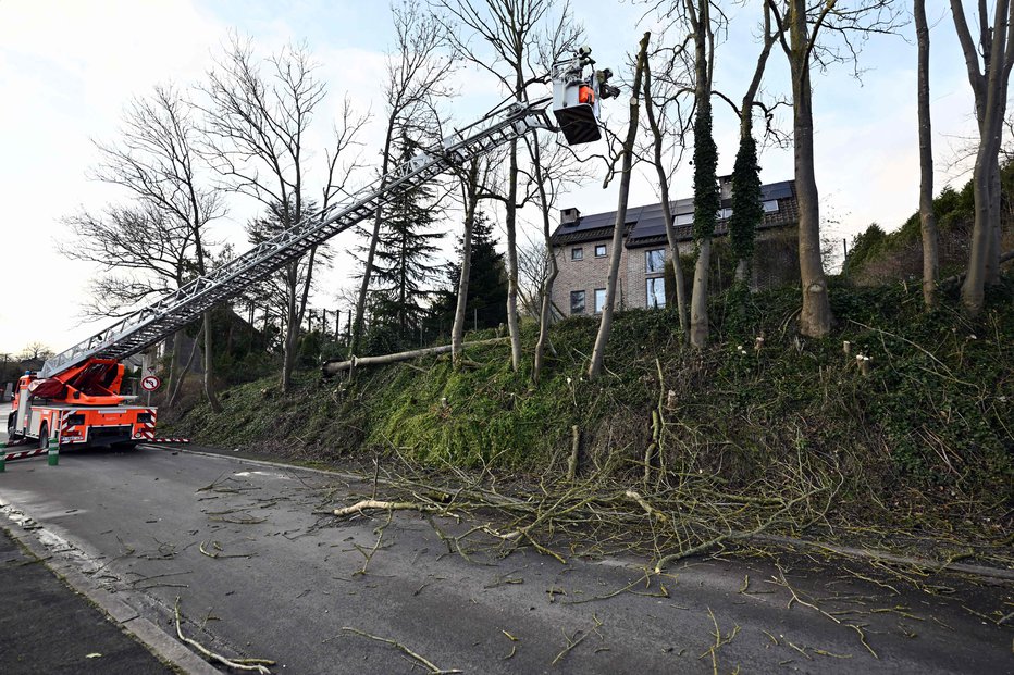 Fotografija: Simbolična fotografija. OUT FOTO: Eric Lalmand Afp