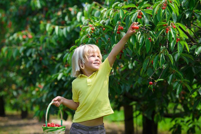 Aktivno otroštvo lahko zmanjša tveganje za demenco. FOTO: Oksana Trautwein/shutterstock