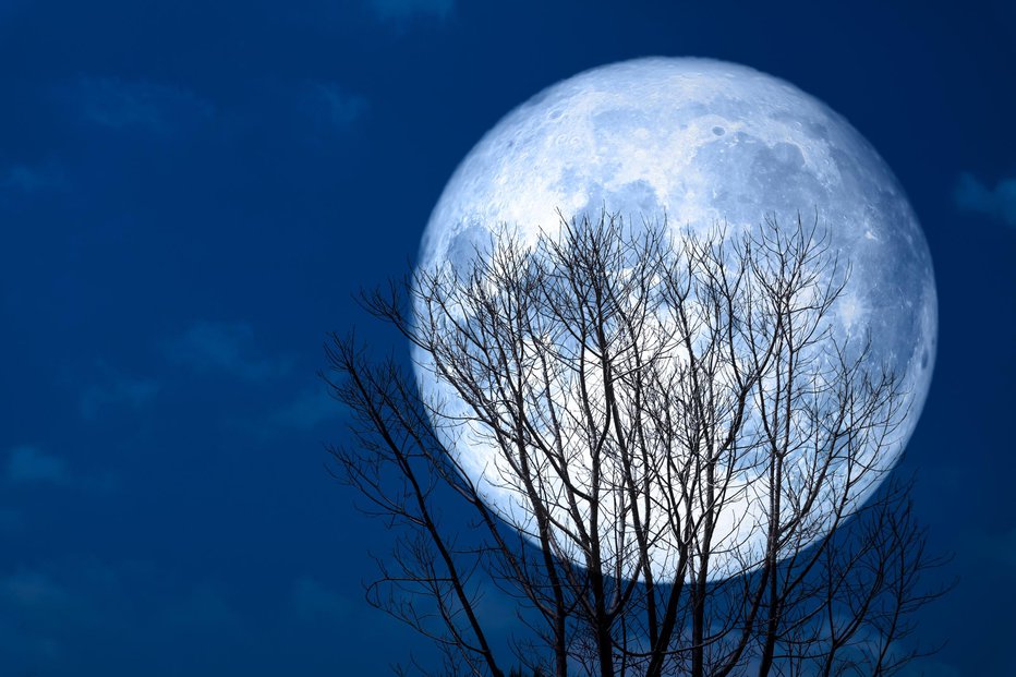 Fotografija: Polna luna. FOTO: Chayanan, Getty Images