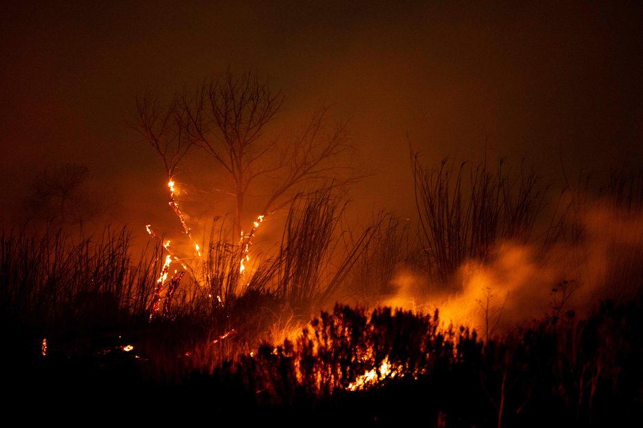 Fotografija: Požar Auto se širi po strugi reke Santa Clara v Oxnardu, severozahodno od Los Angelesa v Kaliforniji, 13. januarja 2025. FOTO: Etienne Laurent Afp