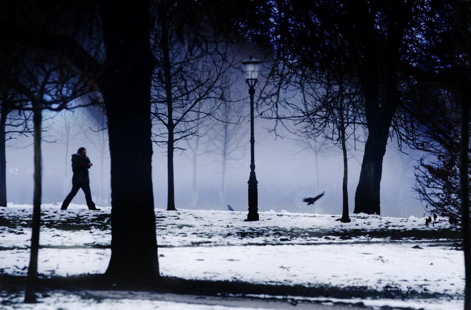 Fotografija: Fotografija je simbolična.  FOTO: Voranc Vogel