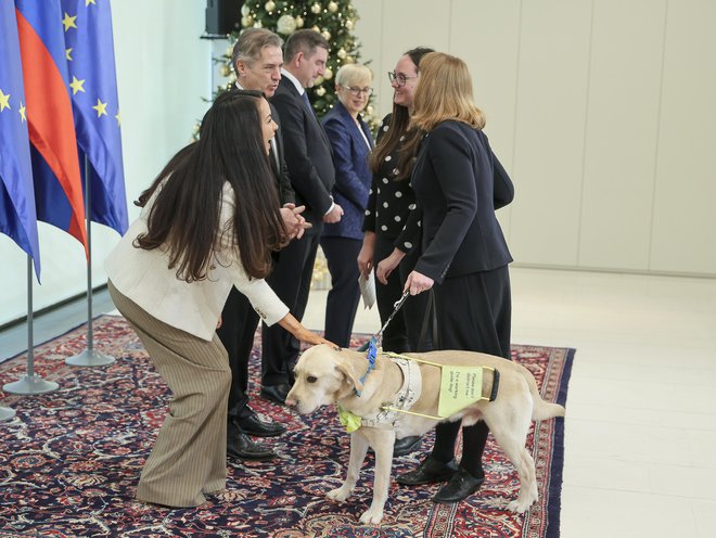 Otto je takoj ogrel Tinino srce. FOTO: Jože Suhadolnik