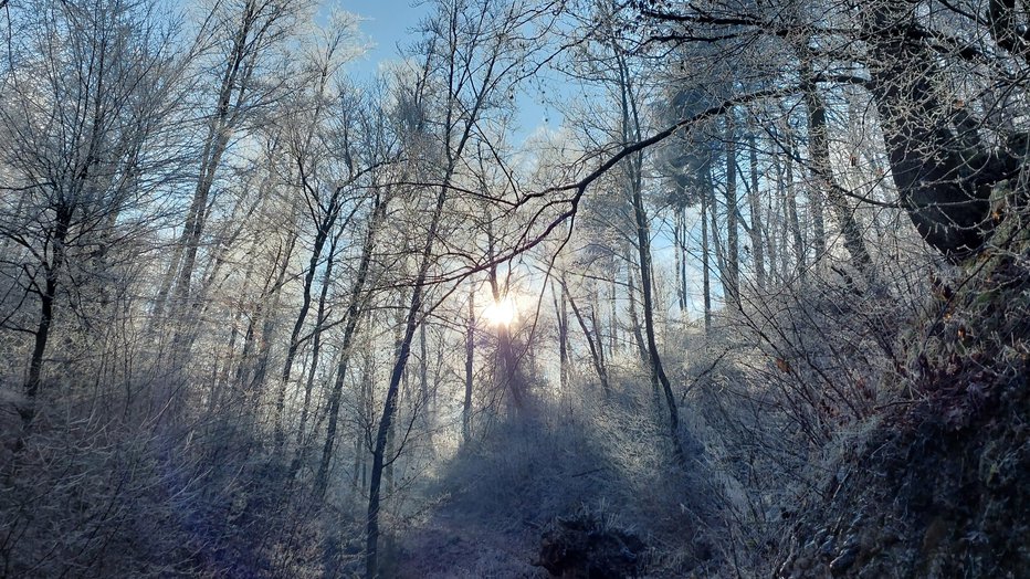 Fotografija: Sonce poskrbi za čarovnijo. FOTOGRAFIJE: Janez Mihovec