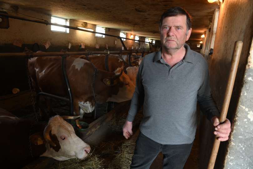 Fotografija: Govedorejec Branko Buček si želi sprotno usklajevanje cen, ne da se dvigajo samo stroški. FOTO: Oste Bakal