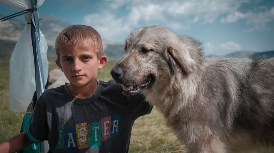 Fotografija: Izsek iz filma Poletne počitnice Foto: Petra Pan Film