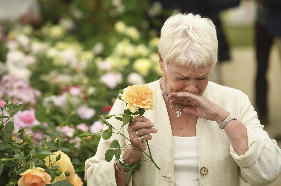 Fotografija: Judi Dench FOTO: Reuters 