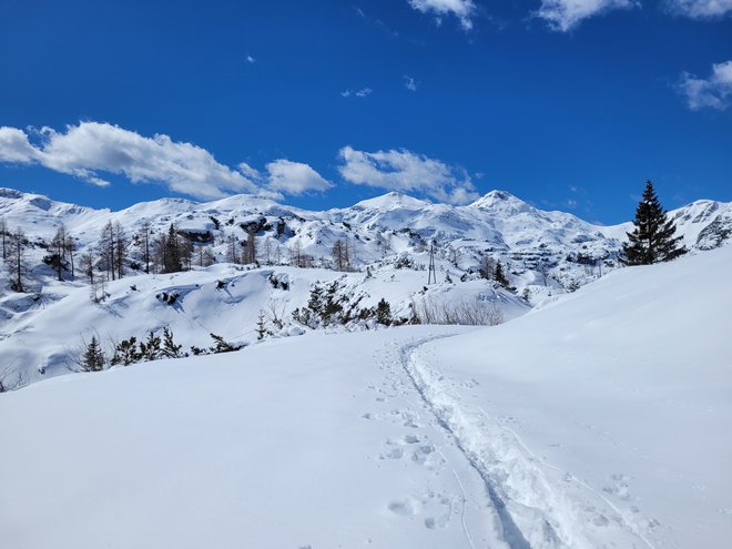 Snežna odeja je v visokogorju skorjasta, a večinoma dovolj pomrznjena, da drži težo pešca. FOTO: Tina Horvat 