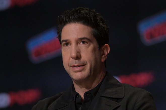 David Schwimmer FOTO: Profimedia