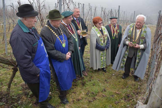 Vsaka rez prinese nova spoznanja.