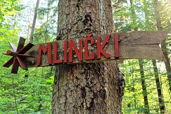 Pot je ustrezno označena. Foto: Miro Pivar